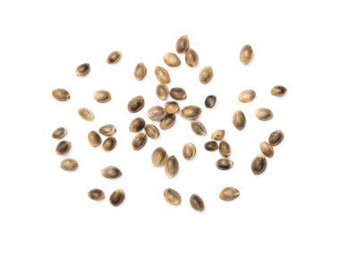 Kenevir tohumu beyaz arka plan üzerinde