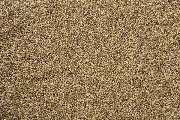 Hemp seed background — Stock Photo, Image