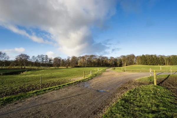 Pastures and dirt road — Stock Photo, Image