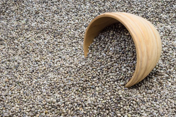 Gorjeta sobre tigela com sementes de cânhamo — Fotografia de Stock