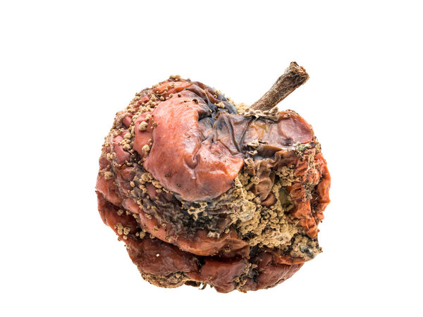 Rotten apple