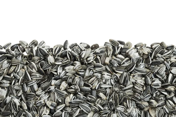 Striped sunflower seeds background — Stock Photo, Image