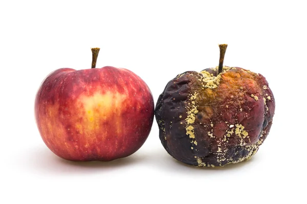 Frischer und fauler Apfel — Stockfoto