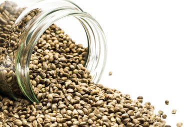 Kenevir tohumu devrilmiş bir cam