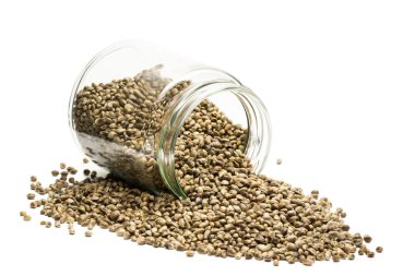 Kenevir tohumu devrilmiş bir cam