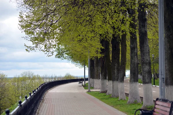 Bir sürü ağacı ve dökme demir çiti olan bir park yolu.