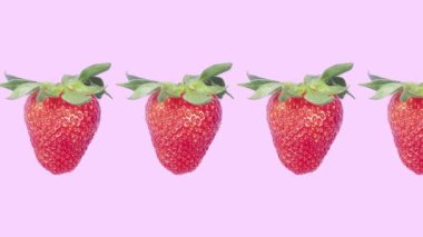 Hareket Animasyonunu Durdur. Olgun, sulu, yeşil yapraklı çilekler mor arka planda bir çizgi boyunca ilerler.