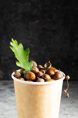 Olgun kahverengi meşe palamutları kağıt kahve fincanının içinde koyu bir fonda, alternatif kurumuş içecek.