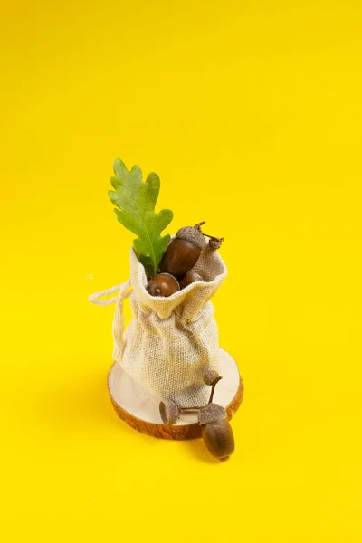 Ripe Acorns Linen Bag Green Oak Leaf Yellow Background — Stock Photo, Image