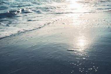 Gün batımı kumsalı. Deniz tavuklarını güneş ışığıyla kapatın. Yaz ve tatil geçmişi.