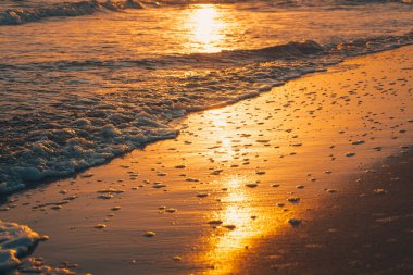 Gün batımında güneş ışıkları dalgalara yansıyor. Altın tonları olan etkileyici bir sahil manzarası. Tatil kavramı ve arkaplan.