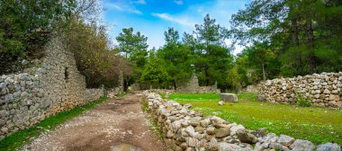 Olimpos kalıntıları (Olympus) Antik Şehir. Cirali plajı. Antalya, Türkiye. Seyahat ve turizm geçmişi.