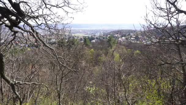 Ragazza Seduta Sulla Cima Della Collina Tra Gli Alberi Con — Video Stock