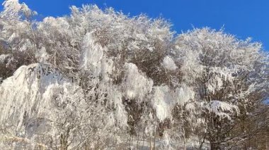 Kar, berrak mavi gökyüzü ile kışı sindirdi.