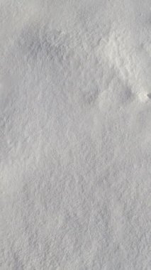 Derin, taze karda, parlak güneş ışığında yürüyorum..