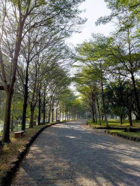 Sonbahar yolu yaprakları değişiyor.