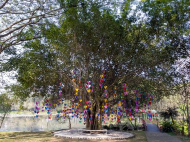 Pembe ipek aşıklara şans getirir.