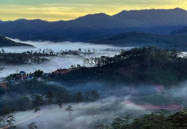 Bulutlu mevsimde, orman yaylaya geri dönecek.