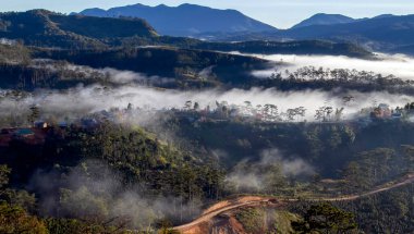 Bulutlu mevsimde, orman yaylaya geri dönecek.