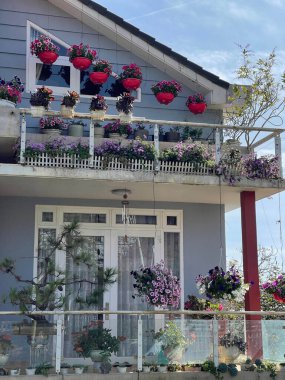 mimoda çiçekler figüratif sarı renk