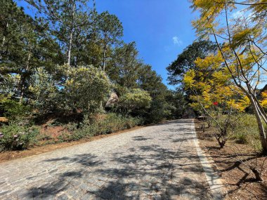 Dağ şehrinde bahar yolu