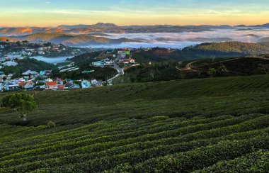 Lam Lam Lam Platosu 'nda şafak söküyor.