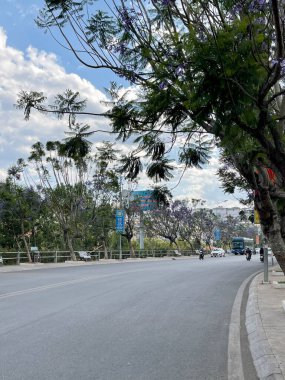 Mor Anka çiçekleri mevsimi geldi.