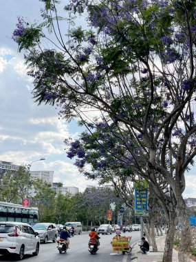 Mor Anka çiçekleri mevsimi geldi.