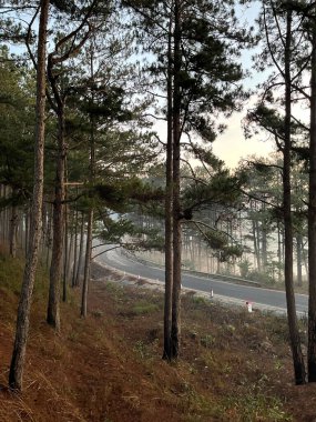 # Yollarda sabah çiği #