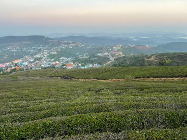 Bulutlu mevsim Da Lat Orman Parkı 'nda başlıyor.