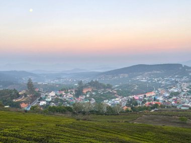 Bulutlu mevsim Da Lat Orman Parkı 'nda başlıyor.