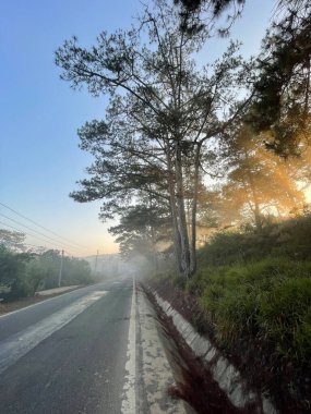 Bulutlu mevsim Da Lat Orman Parkı 'nda başlıyor.