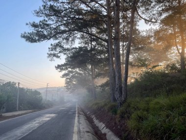 Bulutlu mevsim Da Lat Orman Parkı 'nda başlıyor.