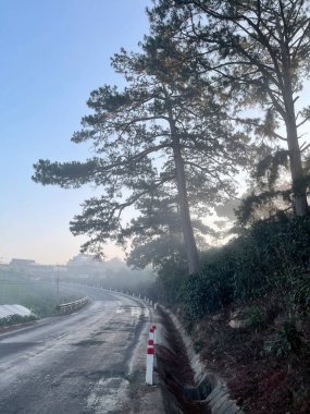 Bulutlu mevsim Da Lat Orman Parkı 'nda başlıyor.