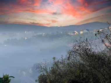 Bulutlu mevsim Da Lat Orman Parkı 'nda başlıyor.