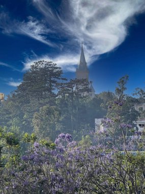 Da Lat dağ kasabasında Mor Anka sezonu