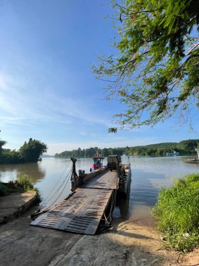 Anka kuşu çiçeği yazın başında açar.