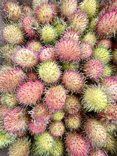 Rambutan Fruta Temporada — Fotografia de Stock