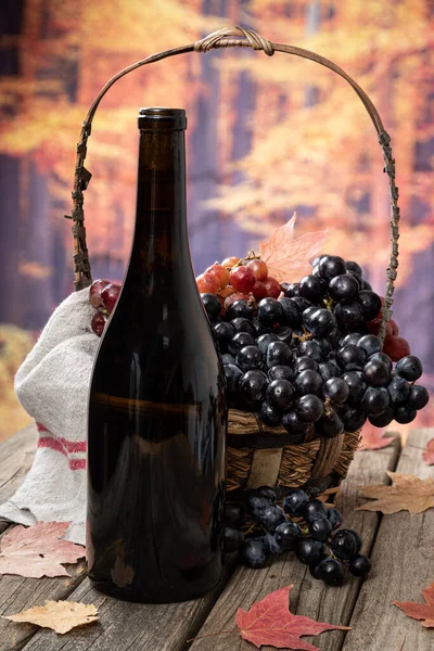 Wine Bottle Basket Grapes Outdoors Rustic Wooden Table Autumn Background — Stock Photo, Image