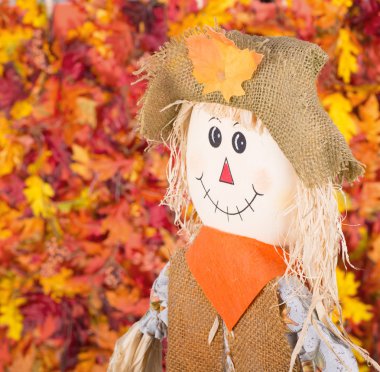 gülümseyen korkuluk