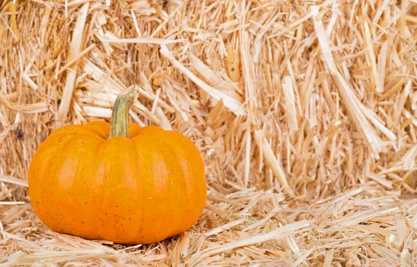 Pumpkin on Straw Bale — Stock Photo, Image