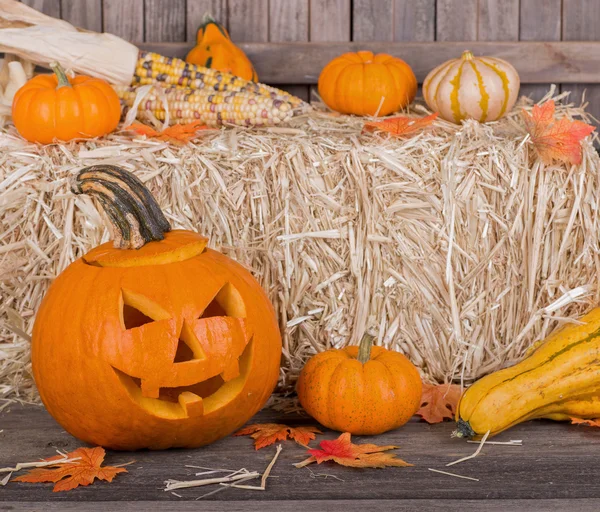 Carved Halloween Pumpkin — Stock Photo, Image