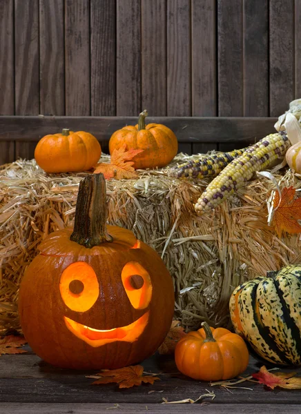 Happy Pumpkin — Stock Photo, Image