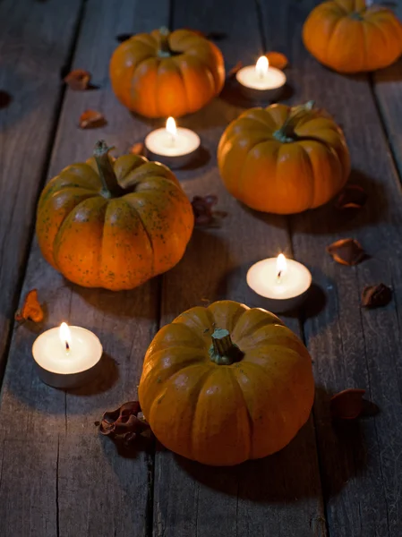 Citrouilles sur un plancher de bois — Photo