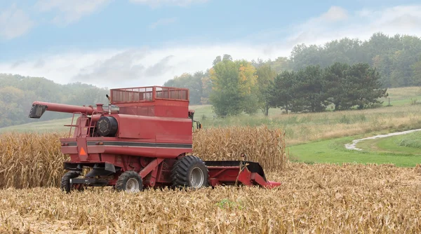 Harvesting Corn — Stock Photo, Image