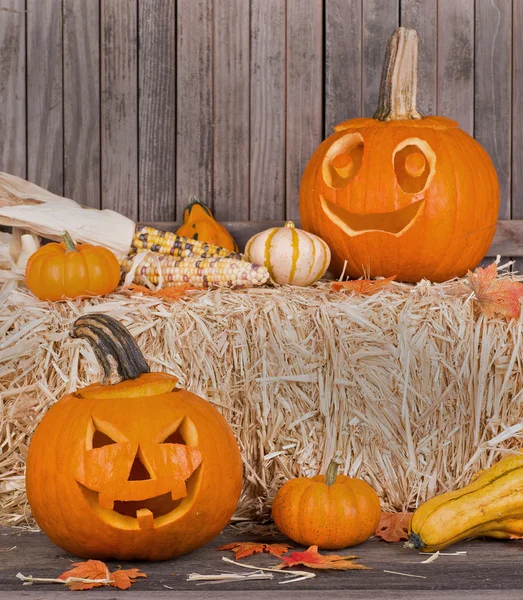 Smiling Pumpkins — Stock Photo, Image