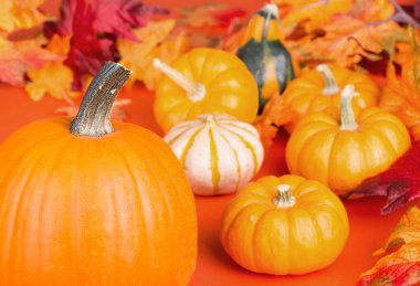 Balkabağı kadar yakın