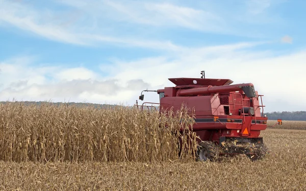 Harvesting a Cornfield — Stock Photo, Image