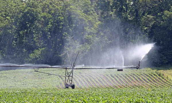 Irragation システム — ストック写真