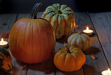 Sonbahar kabaklar ve Squash